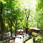 Discover the Charm of Setagaya Park Through Videos and Maps! Plus Nearby Restaurants!