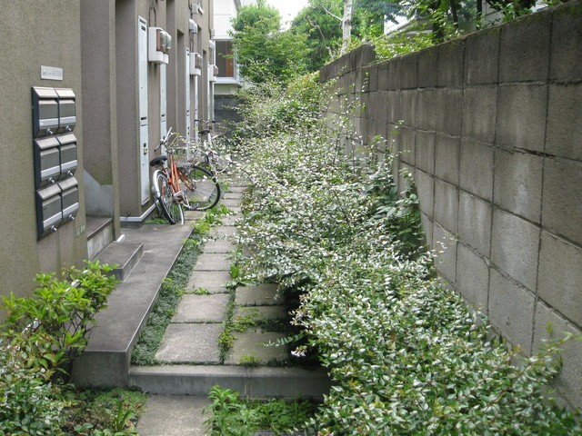 (その他建物画像)