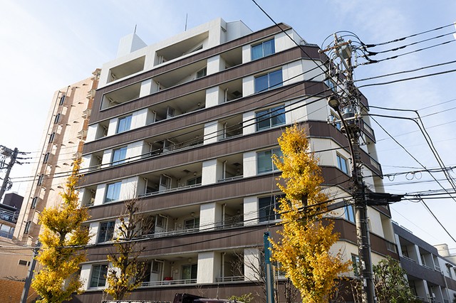 世田谷区三宿１丁目 【賃貸居住】マンション