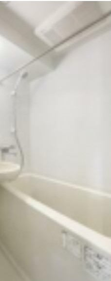 ※同仕様写真含む(風呂)