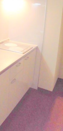 ※同仕様写真を含む(キッチン)