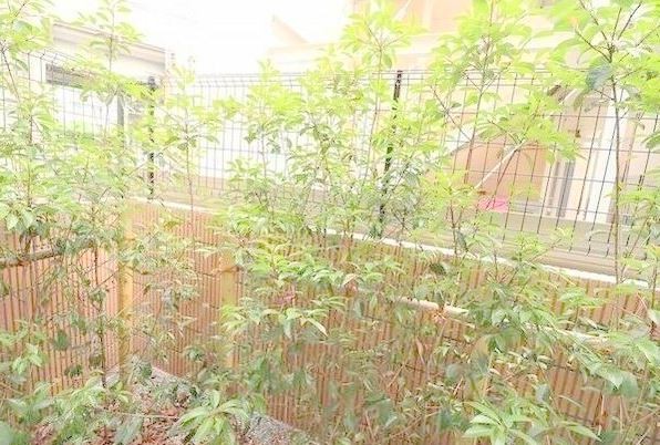 ※同仕様写真を含む