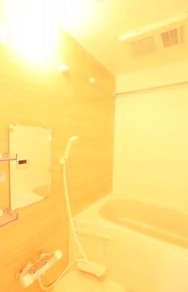 ※同仕様写真を含む(風呂)