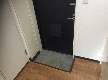 ※同仕様写真含む(玄関)