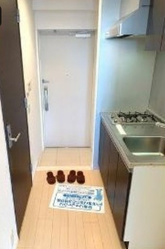 ※同仕様写真(玄関)