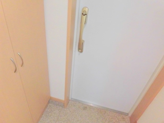 ※同仕様写真含む(玄関)