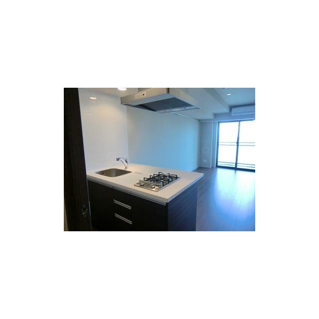 ◎室内写真◎同タイプ他写真 フローリングカラー等異なる場合がございます。(キッチン)