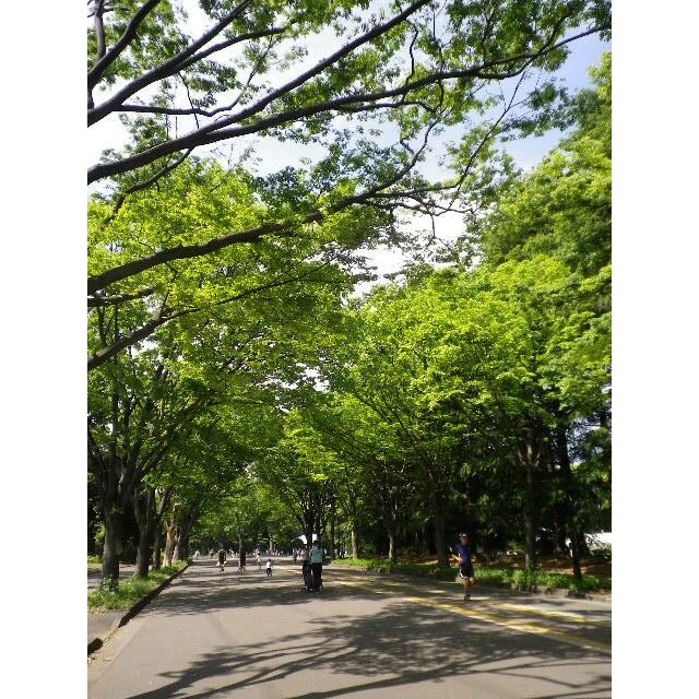 駒沢オリンピック公園（1009m）(周辺)