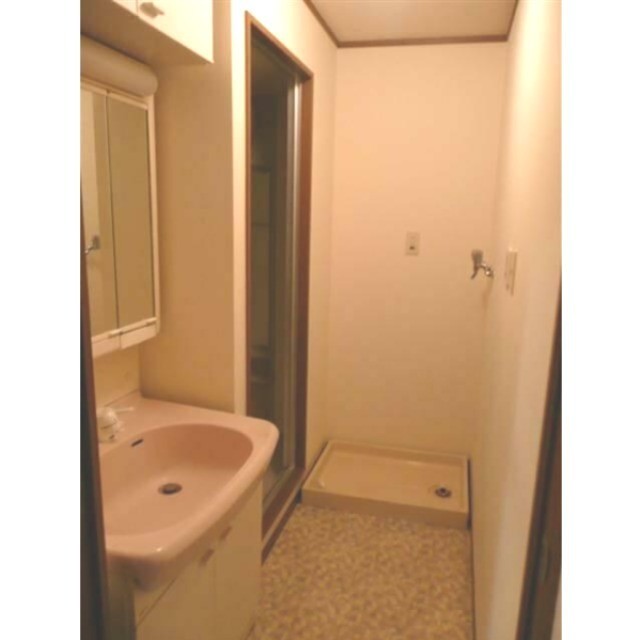 独立洗面台・室内洗濯機置場(内装)