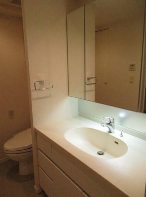 Lタイプ2016年12月撮影同タイプ311号室の写真です(内装)