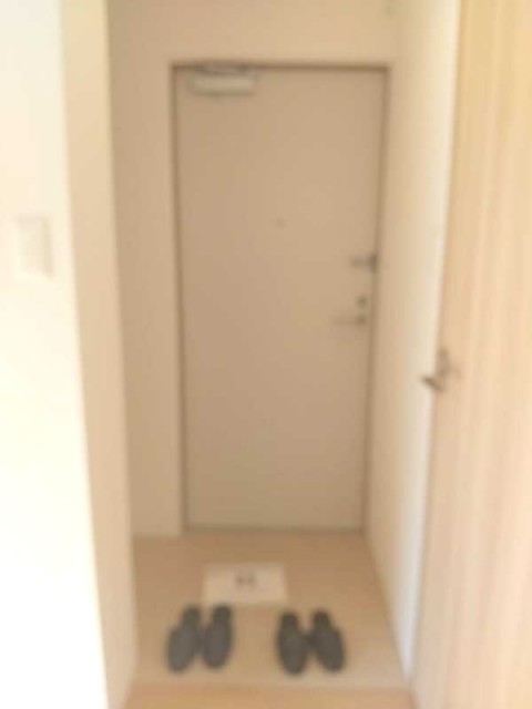 ※同仕様写真含む(玄関)