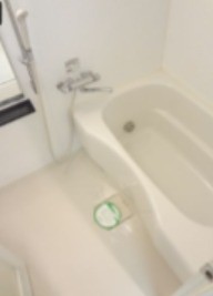 同仕様写真を含む(風呂)