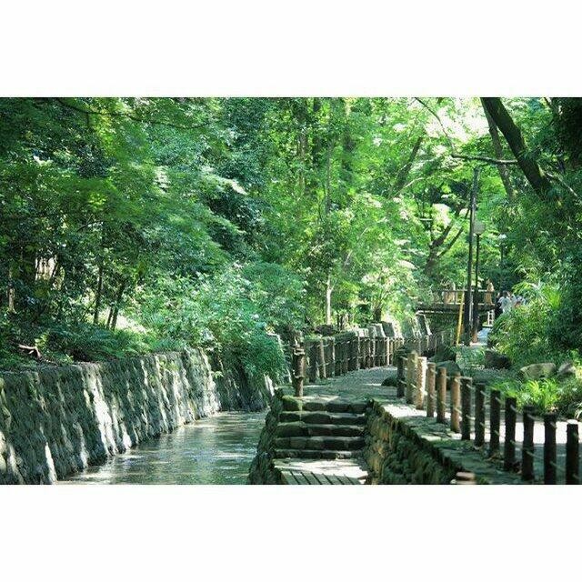 等々力渓谷公園（320m）(周辺)