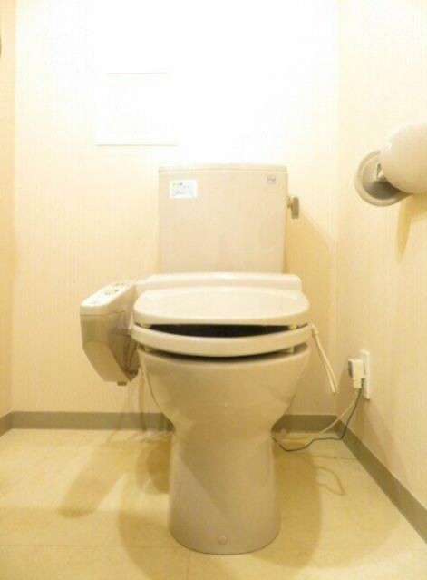 トイレも気になるポイント(内装)