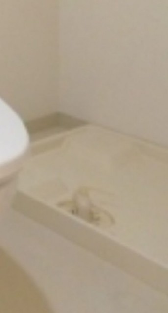 ※同仕様写真含む(内装)