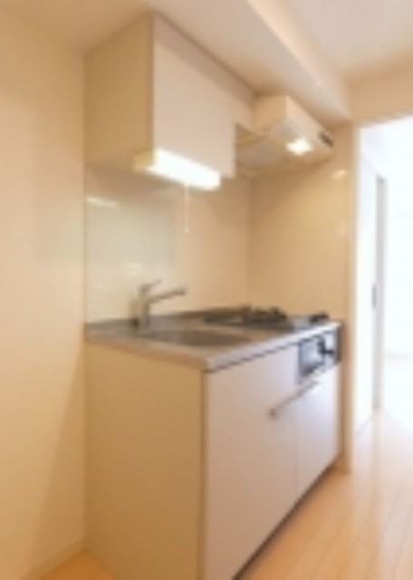 ※同仕様写真含む(キッチン)