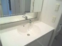 ※同仕様住戸を含む。(内装)