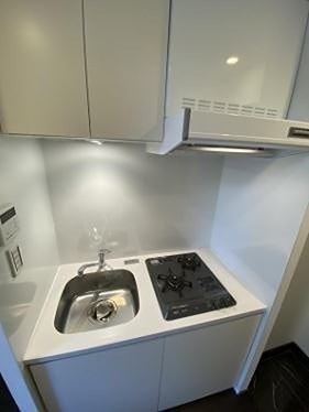 ※同仕様住戸を含む。(キッチン)