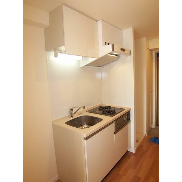 Cタイプ2011年1月撮影 同タイプ1003号室の写真です。(キッチン)