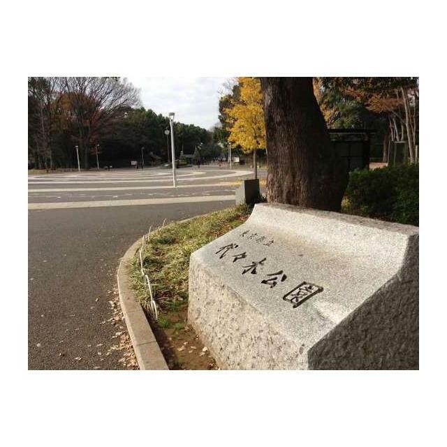 都立代々木公園（142m）(周辺)