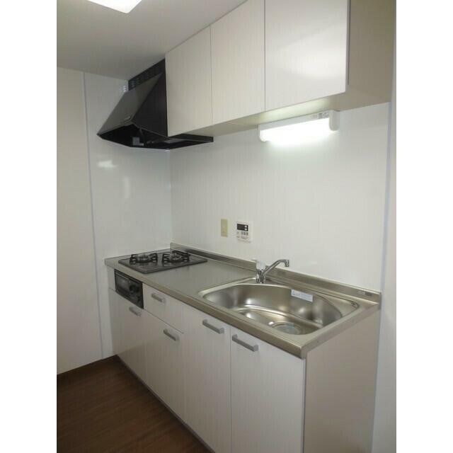 502号室のみシステムキッチン(キッチン)