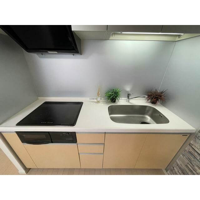 別号室参考写真(キッチン)