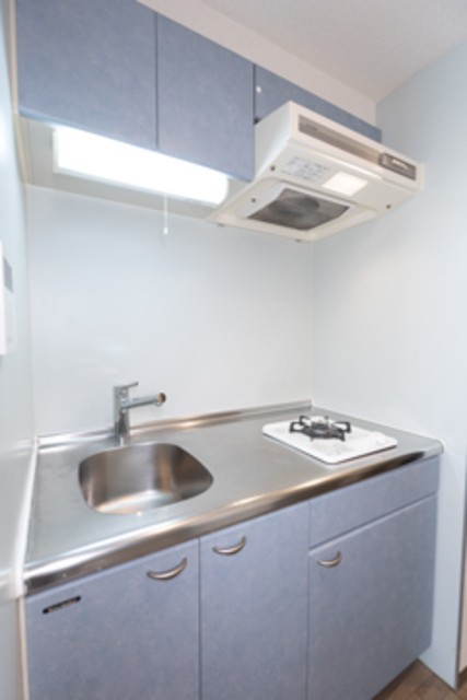 ※写真は同タイプ住戸です。(キッチン)