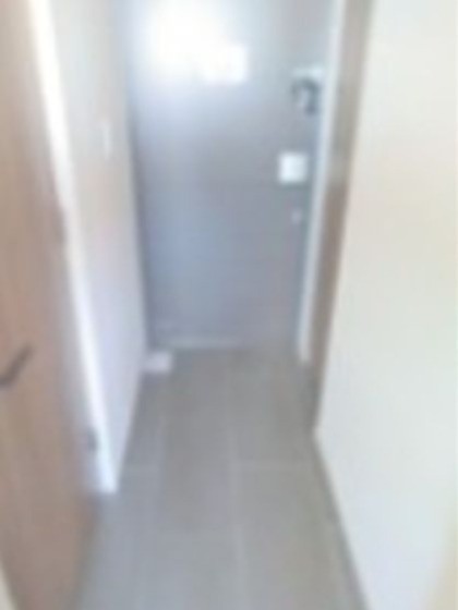 ※同仕様写真(玄関)