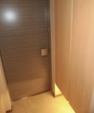 ※同仕様写真含む(玄関)