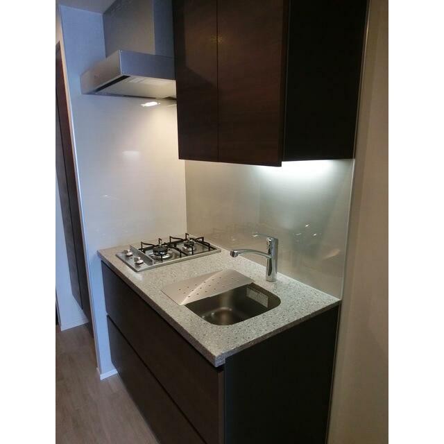 Dタイプ2015年3月撮影 同タイプ1005号室の写真です。(キッチン)