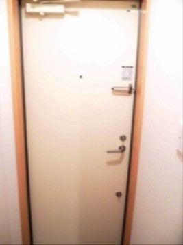 ※同仕様写真含む(玄関)