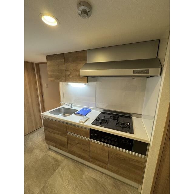 2025年6月撮影(キッチン)