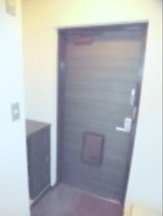 ※同仕様写真含む(玄関)