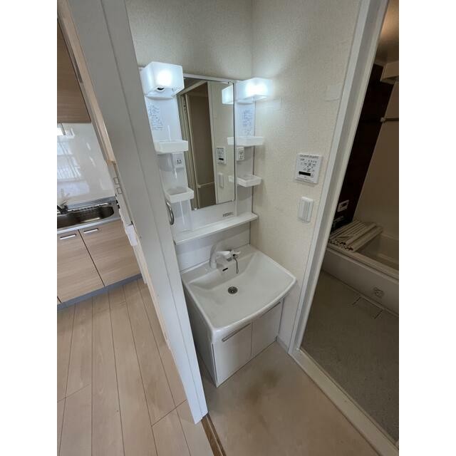 独立洗面化粧台(内装)