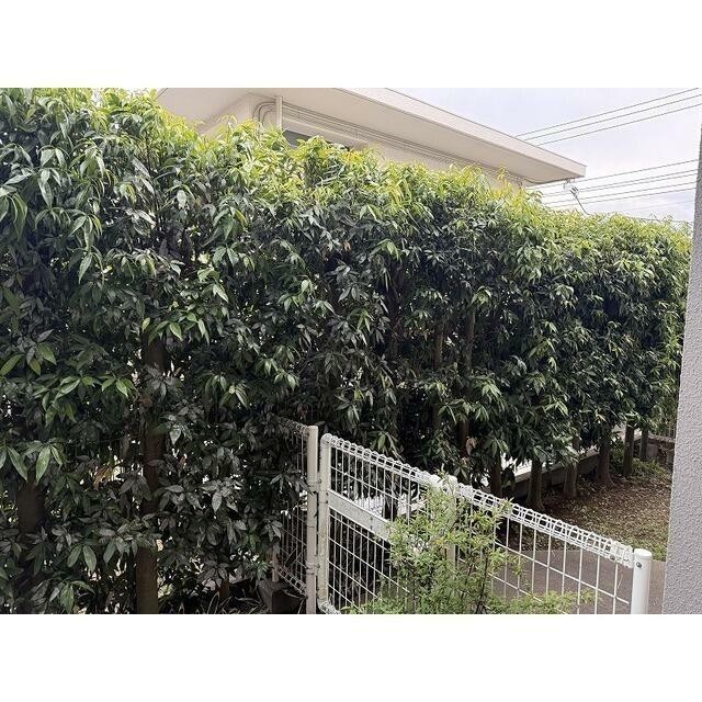 植栽で目隠ししているため安心です♪