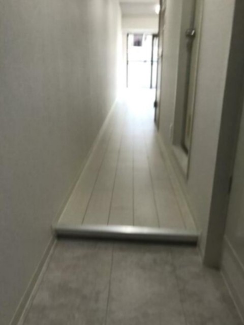 ※同仕様写真含む(玄関)