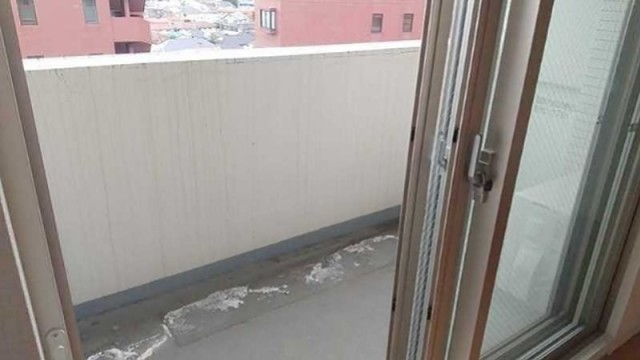 ※同仕様写真含む