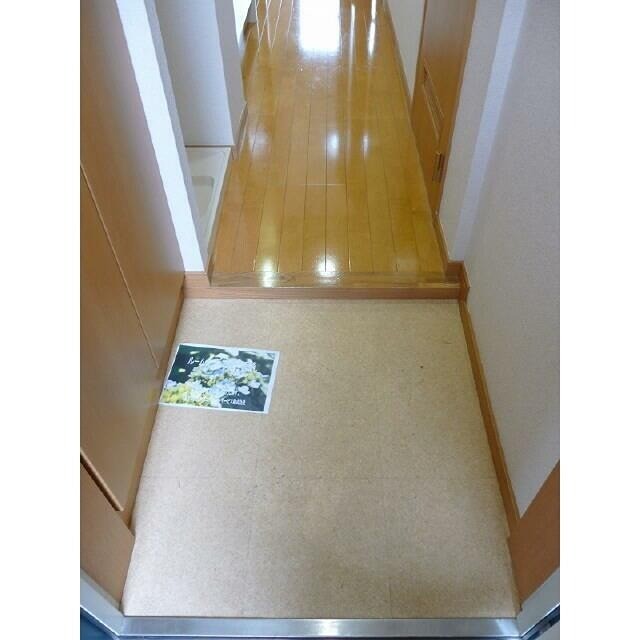 ※同仕様写真(玄関)