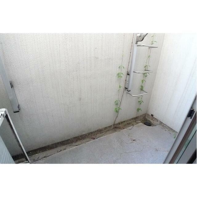 ※同仕様写真含む