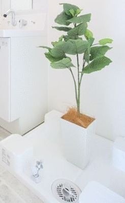 ※同仕様写真含む