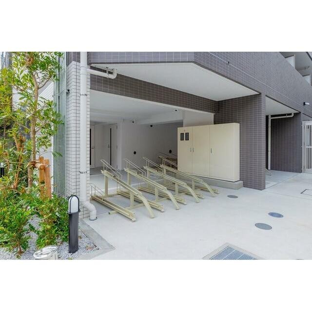 2026年3月撮影