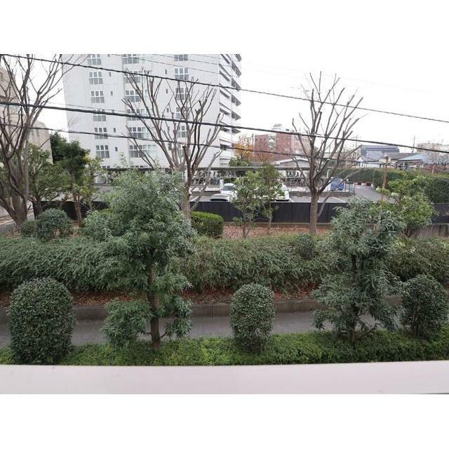 景色