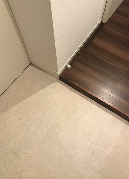 ※同仕様写真(玄関)