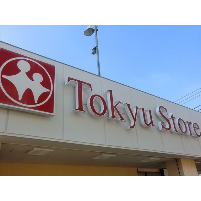 東急ストア洗足店（185m）(周辺)