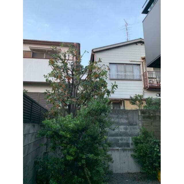 多様な植栽のある共有部