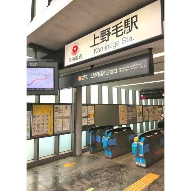上野毛駅（264m）(周辺)