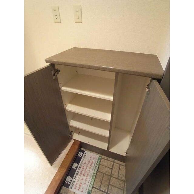 靴入
