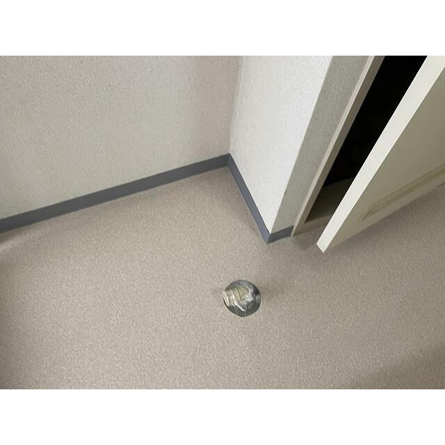 ※同仕様写真含む