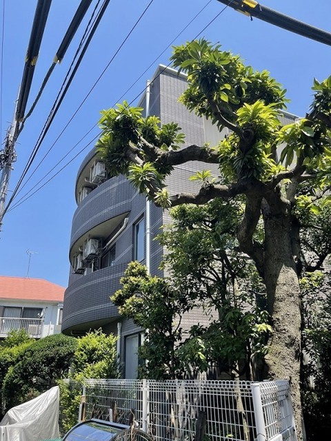 品川区旗の台６丁目 【賃貸居住】マンション