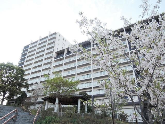 (外観)